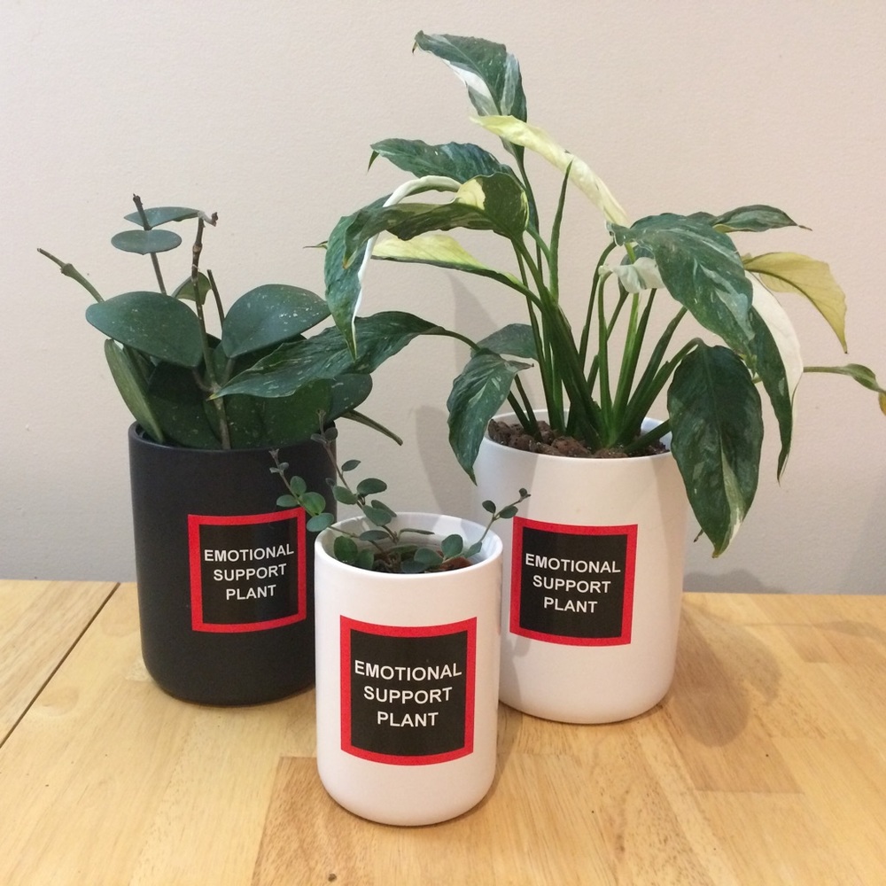 Emotional Support Plant sticker! - Picture 6 of 10